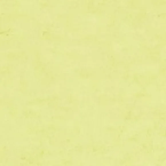 FREE PEOPLE Green Sleeveless Crew Neck Top Size L - Picture 4 of 5